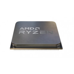 AMD Ryzen 5 4600G processore 3,7 GHz 8 MB L3 Scatola