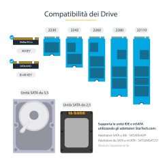 StarTech.com Duplicatore SSD HDD M.2 SATA e M.2 Nvme - Clonatore Eraser per dischi SSD Nvme M.2 PCIe AHCI - M.2 SATA -