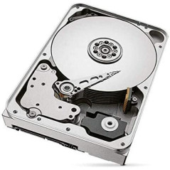 Hard Disk Seagate IronWolf 12 TB